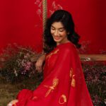 Silhouette matte red silk organza saree